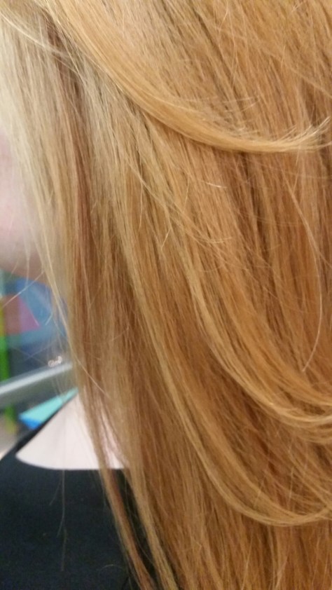 2015-04-16 09.19.16.jpg image